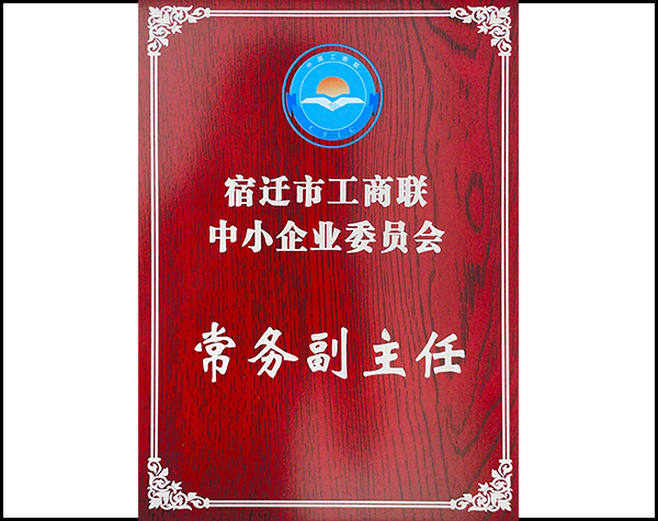 工商聯中小企業委員會常務副主任